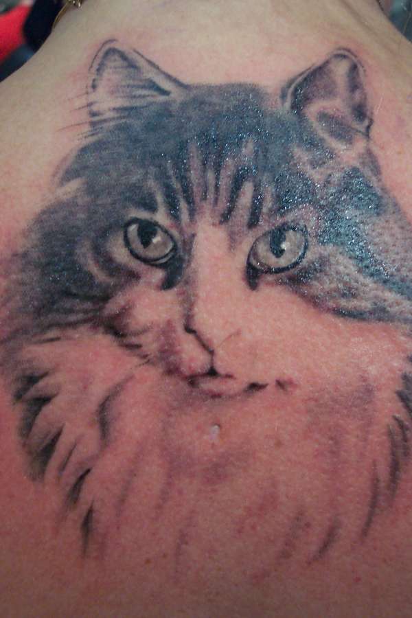 Cat portrait tattoo