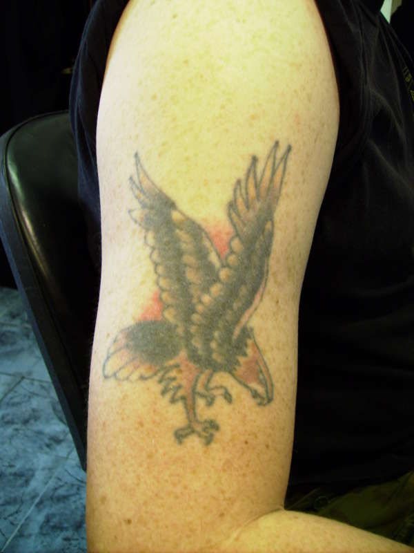 Eagle cover up - before tattoo