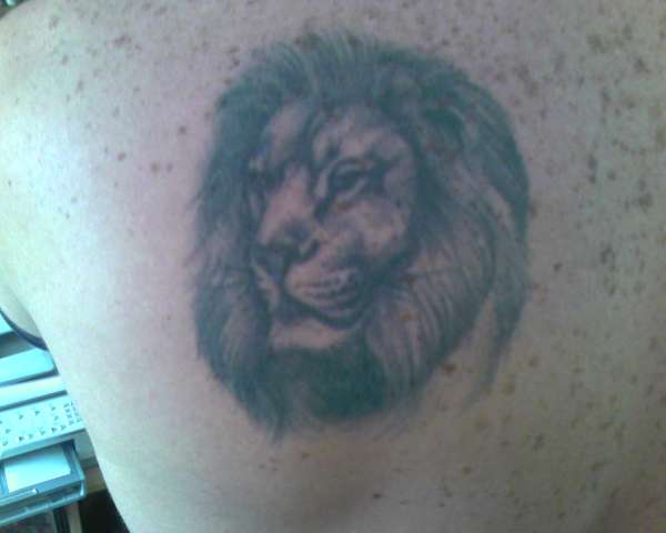 Lion on my back tattoo