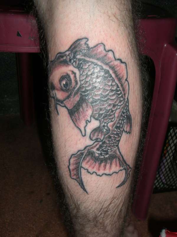 Koi on Calf tattoo