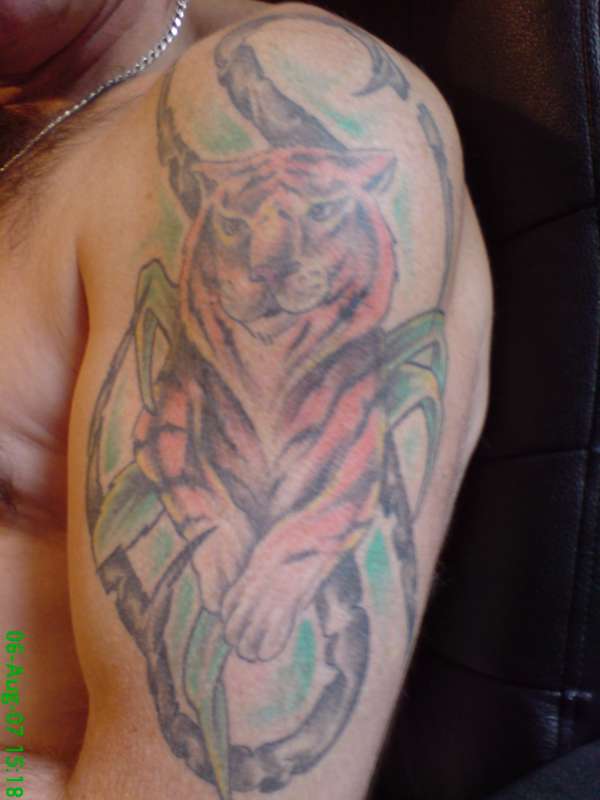 Tiger in tribal design tattoo