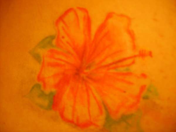 my hibiscus tattoo