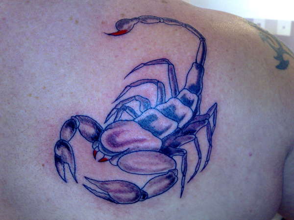 scorpion king deck tattoo
