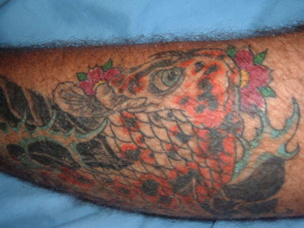 koi leg close up tattoo