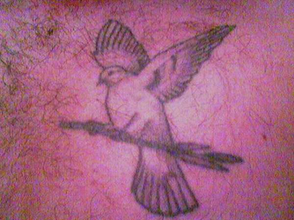 Dove on Chest tattoo