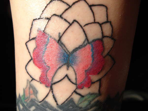 butterfly tattoo