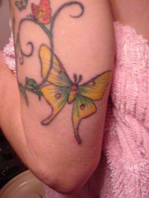 the moth tattoo