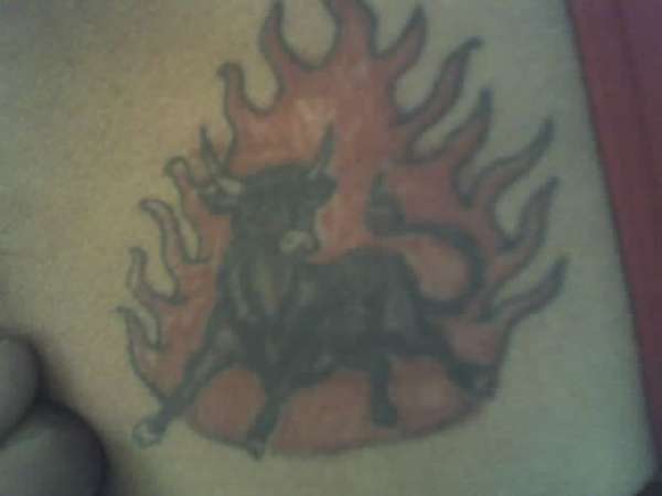 bull tattoo