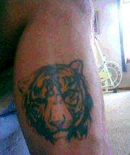 Tiger tattoo i got about 7 months ago, my favorite one. tattoo