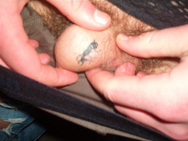ant tattoo
