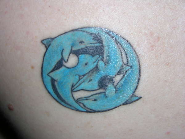 Dolphin Zen tattoo