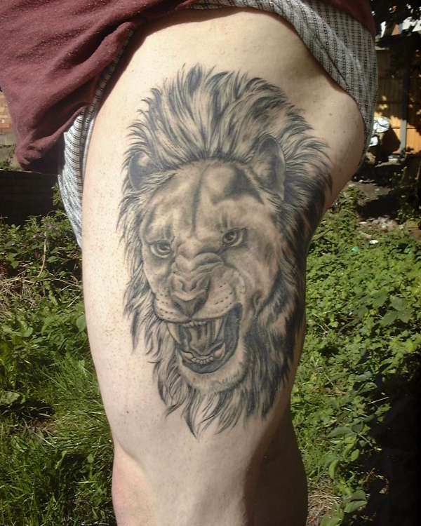 my lion tattoo