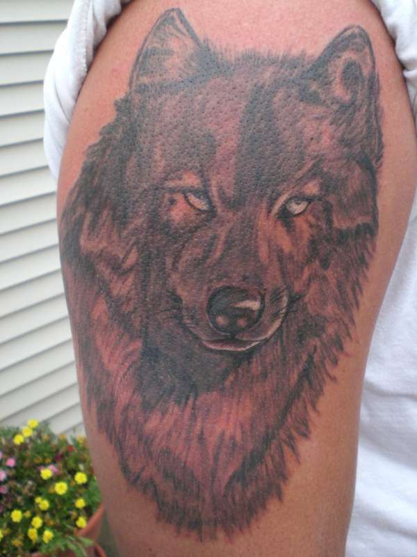 Black Wolf tattoo