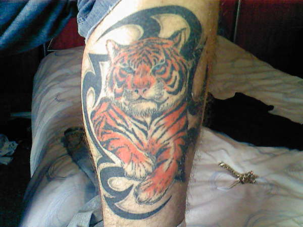 Tiger tattoo