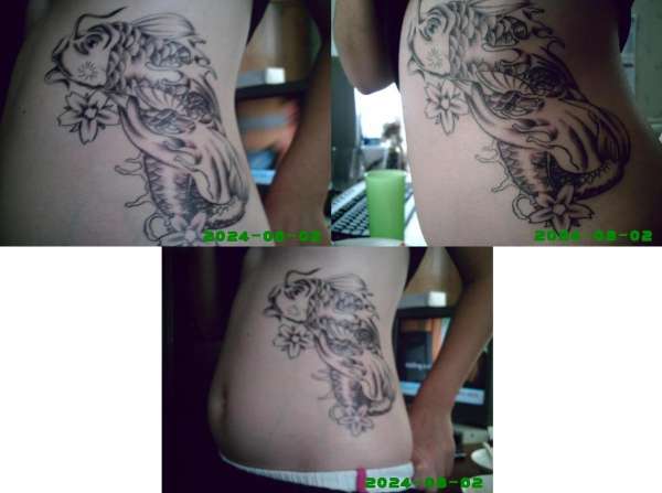 Unfinished Koi Shaded tattoo