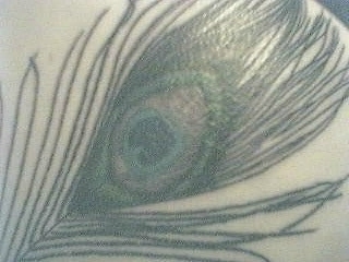 Peacock tattoo