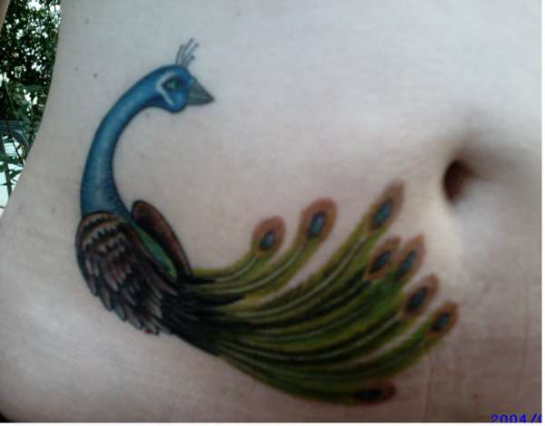 My peacock tattoo tattoo