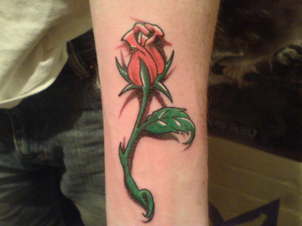 rose tattoo