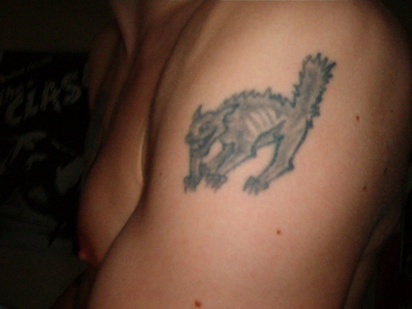 cat tattoo