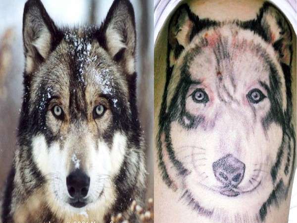 Wolf2 tattoo