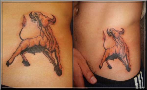 bull tattoo