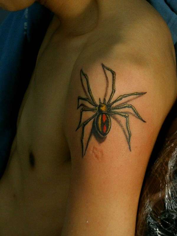 spider tatz tattoo