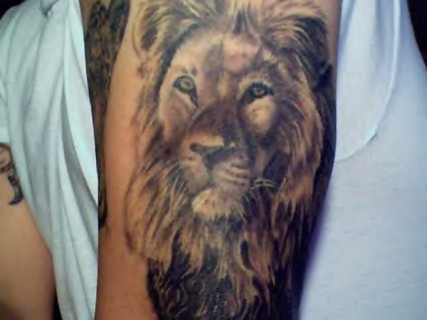 Lion tattoo