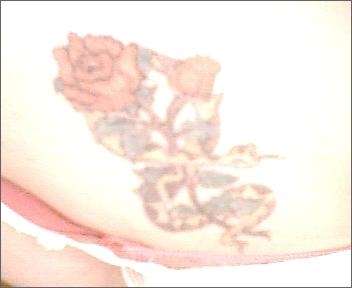 Snake&Roses tattoo