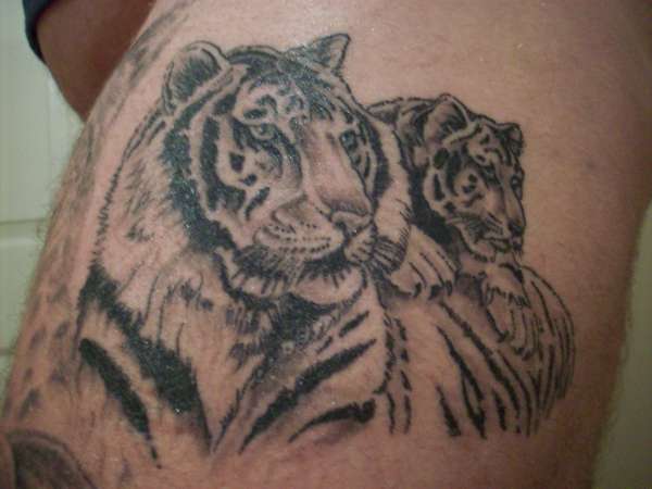 Tiger and Cub tattoo