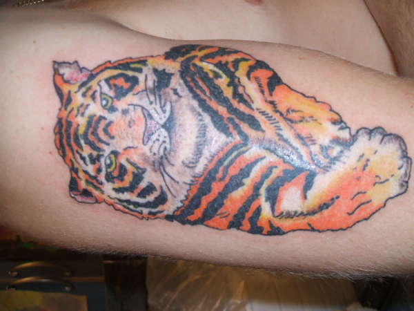 tiger...13th tatt ive done....lucky for some tattoo