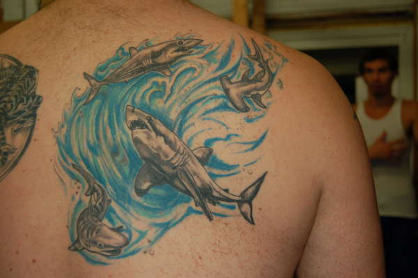 Sharks tattoo