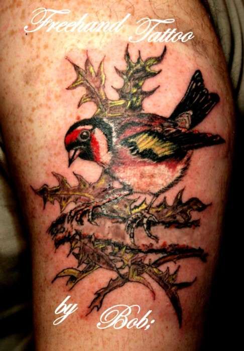 Daves bird tattoo