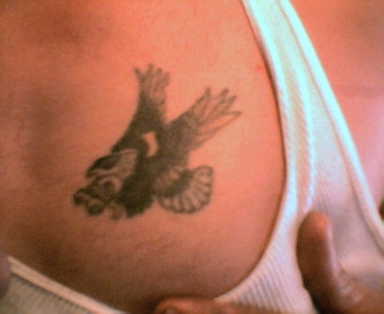 screaming eagle tattoo
