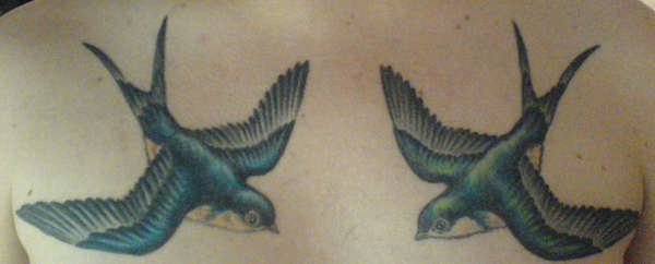 Swallows tattoo