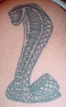 Cobra Tattoo tattoo