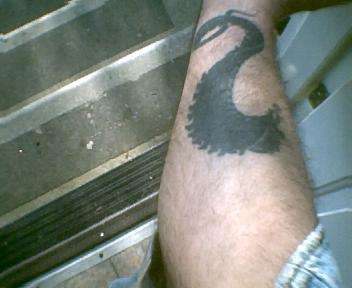 cobra tattoo