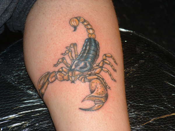 scorpion tattoo