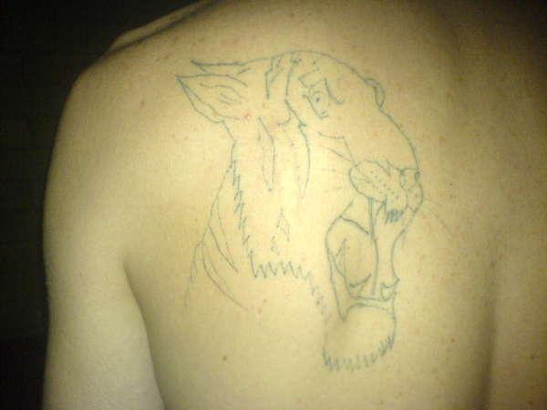 Tiger (unfinished) tattoo