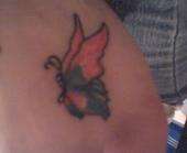 Butterfly tattoo
