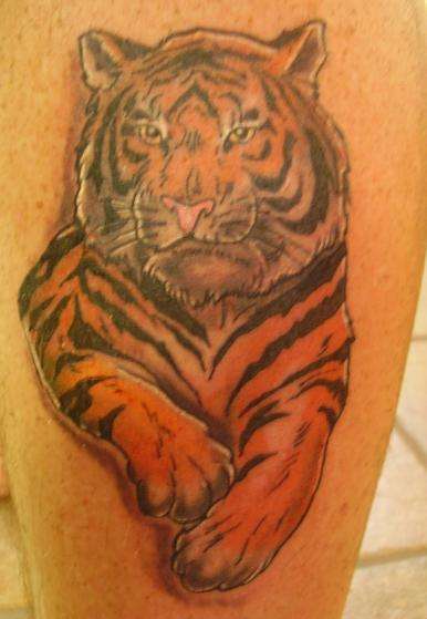 Tiger tattoo