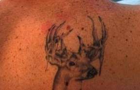 Buck in velvet tattoo