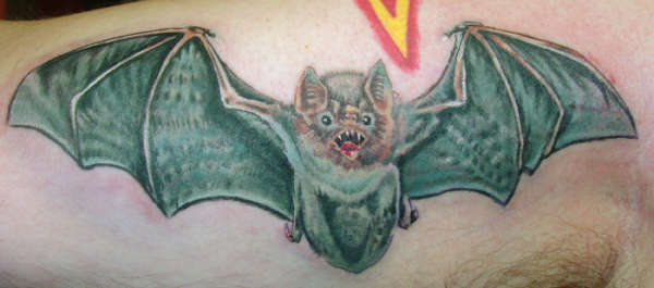 vampire bat tattoo