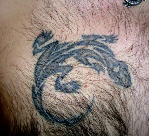 Lizards tattoo