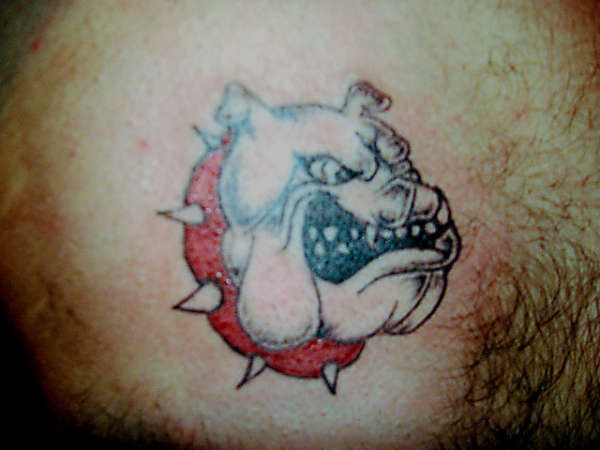 dog tattoo