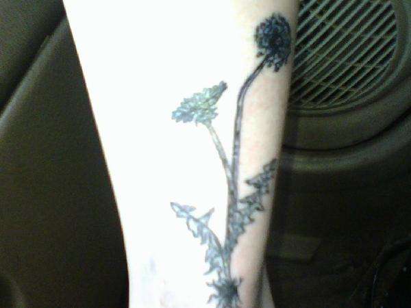 dandelions tattoo