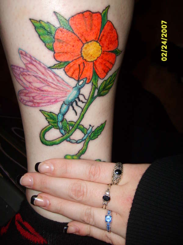 dragonfly tattoo tattoo
