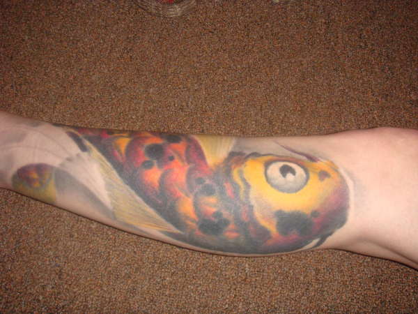 Koi Calf Sleeve tattoo