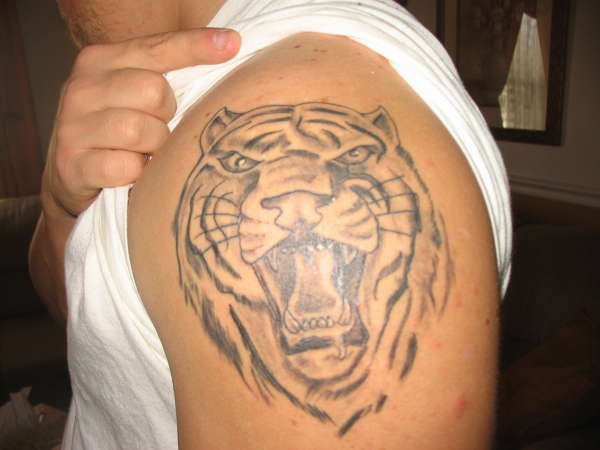 tiger tattoo