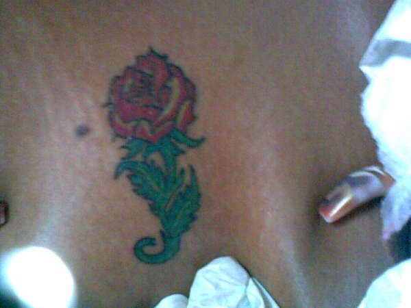 rose tattoo