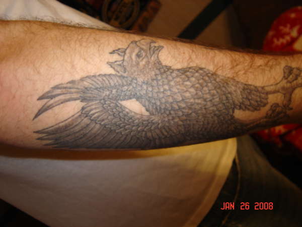 Griffin tattoo